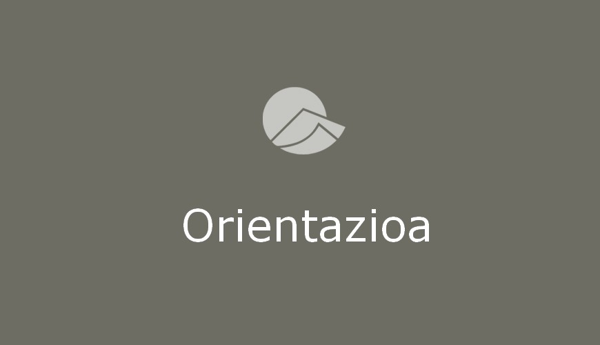 orientazioa orientazioa