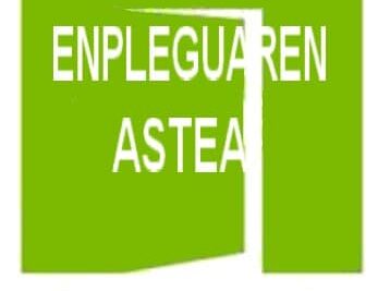 Enpleguaren XXV Astea