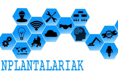 Kudeaketa digitalizatua denbora aurrezteko eta bezeroarentzako zerbitzua hobetzeko (010/021)