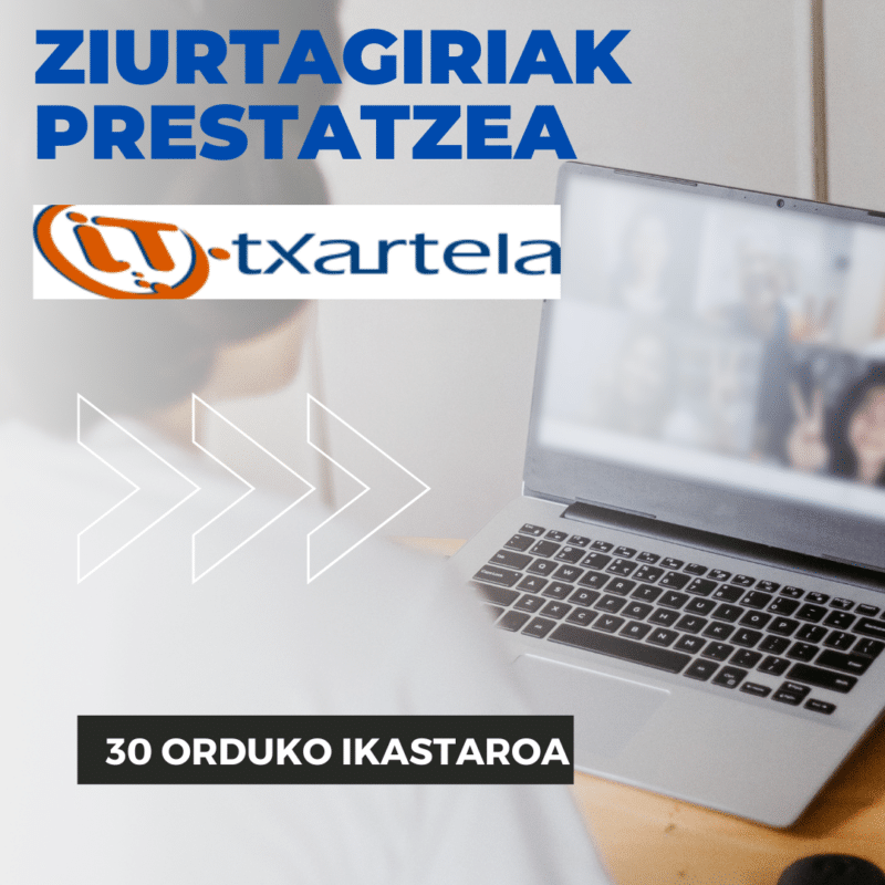 IT Txartela prestatzea