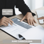Zure curriculuma (26-CV-1)