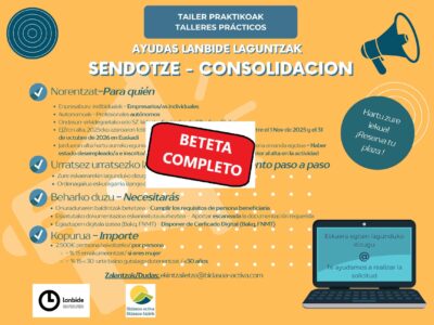 02/10/2026-Taller solicitud Ayudas Consolidación Lanbide (LSEG010/026)